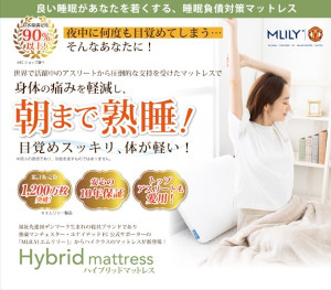 �l�w�\�� �G�������[�n�C�u���b�h�}�b�g���X�ɂ���